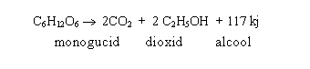 Text Box: C6H12O6  2CO2 + 2 C2H5OH + 117 kj
 monogucid dioxid alcool energie (glucoza, fructoza) de carbon etilic
 

