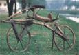 https://www.lumea-copiilor.ro/enciclopedie/istoria_bicicletei/bicicleta_lemn.gif