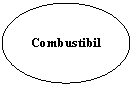 Oval: Combustibil
