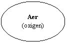 Oval: Aer
(oxigen)
