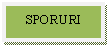 Text Box: SPORURI