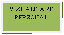 Text Box: VIZUALIZARE
PERSONAL

