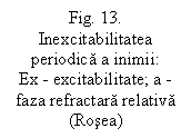 Text Box: Fig. 13. Inexcitabilitatea periodica a inimii:
Ex - excitabilitate; a - faza refractara relativa (Rosea)

