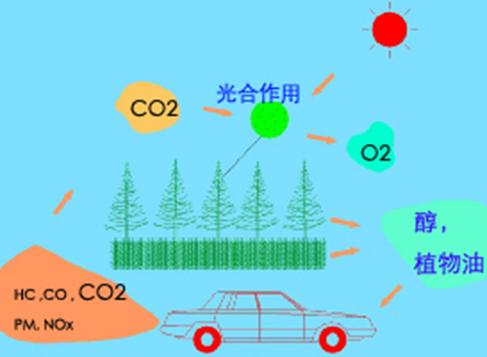 biodiesel emisii