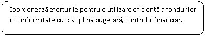 Rounded Rectangle: Coordoneaza eforturile pentru o utilizare eficienta a fondurilor in conformitate cu disciplina bugetara, controlul financiar.