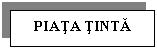 Text Box: PIATA TINTA