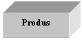Text Box: Produs