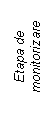 Text Box: Etapa de monitorizare