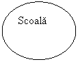 Oval: Scoala 