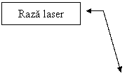 Line Callout 3: Raza laser