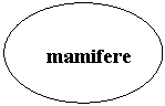 Oval:   mamifere

