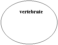 Oval:       vertebrate
