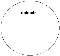 Oval:          animale