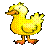 duck-001.gif