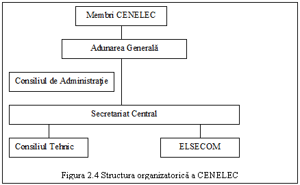 Text Box: 

Figura 2.4 Structura organizatorica a CENELEC

