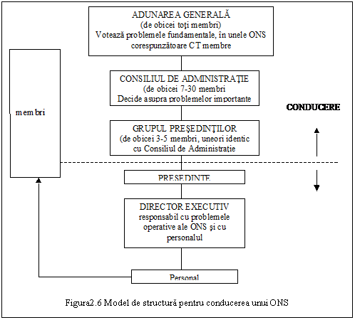 Text Box: 

Figura2.6 Model de structura pentru conducerea unui ONS
