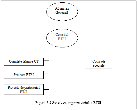Text Box: 

Figura 2.5 Structura organizatorica a ETSI
