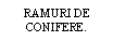 Text Box: RAMURI DE CONIFERE.
