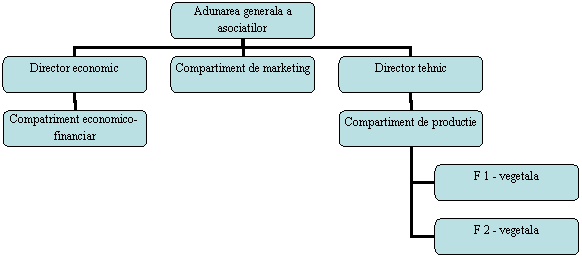 Organization Chart