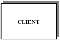 Text Box: CLIENT

