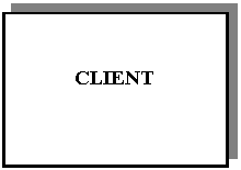 Text Box: CLIENT

