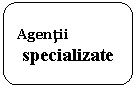Rounded Rectangle: Agentii 
specializate
