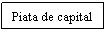 Text Box: Piata de capital