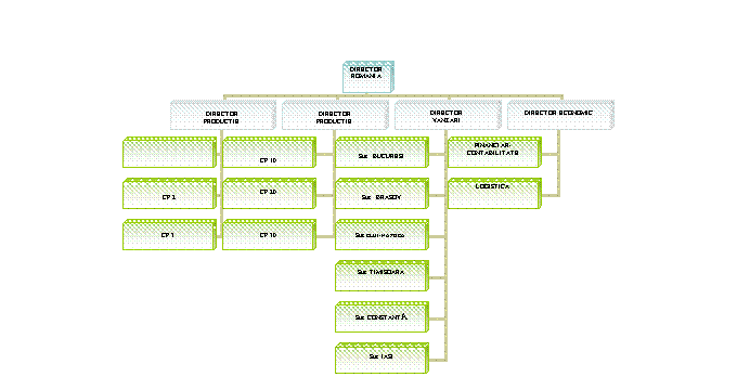 Organization Chart