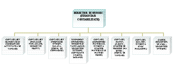 Organization Chart