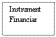 Text Box: Instrument
Financiar
