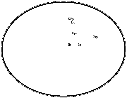 Oval: Eidp 
 Iop
 
 
 Kpr
 Pkp
 
 Iib Dp
