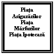 Text Box: Piata Asigurarilor
Piata Marfurilor
Piata Ipotecara


