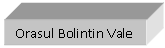 Text Box: Orasul Bolintin Vale

