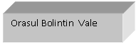 Text Box: Orasul Bolintin  Vale

