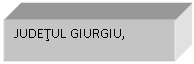 Text Box: JUDETUL GIURGIU, 