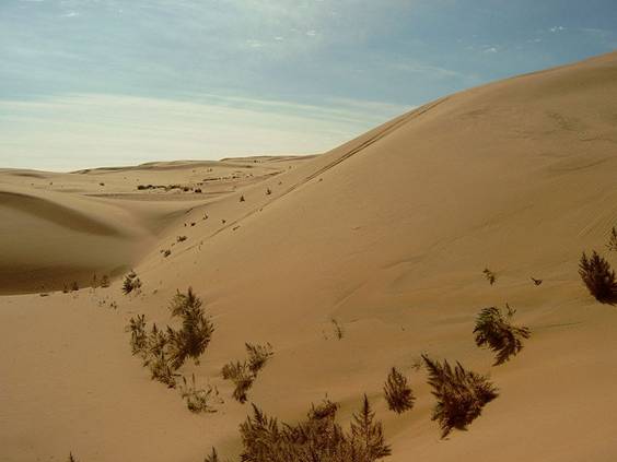 Fisier:Gobi Desert.jpg
