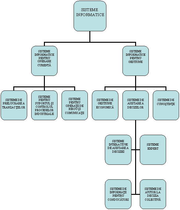 Organization Chart