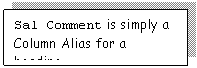 Text Box: Sal Comment is simply a Column Alias for a heading