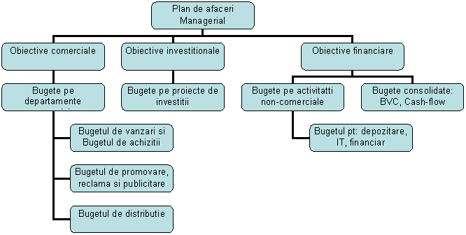 Organization Chart