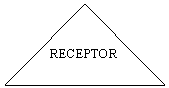Isosceles Triangle: RECEPTOR