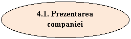 Oval: 4.1. Prezentarea companiei