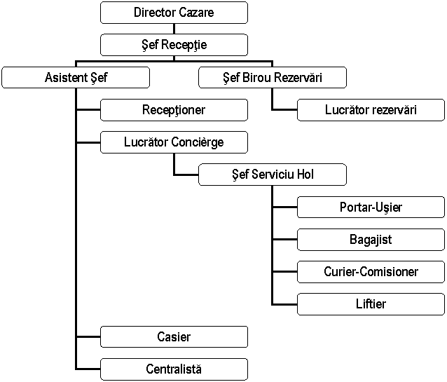 Organization Chart