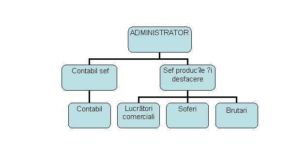 Organization Chart