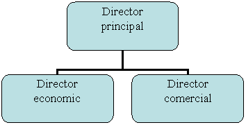 Organization Chart