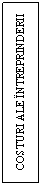 Text Box: COSTURI ALE INTREPRINDERII  