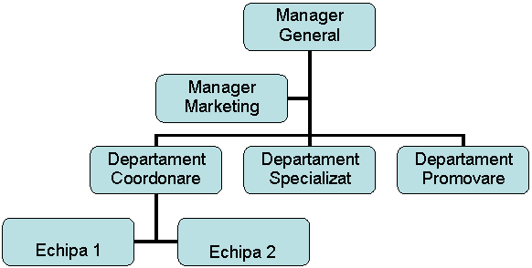 Organization Chart