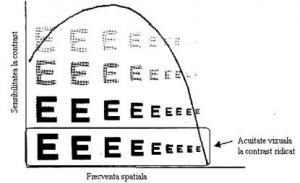 acuitatea vizuală a crescut)