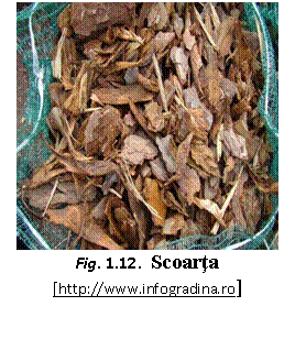 Text Box:  
Fig. 1.12.  Scoarta
[https://www.infogradina.ro]
