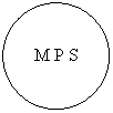Oval: M P S
