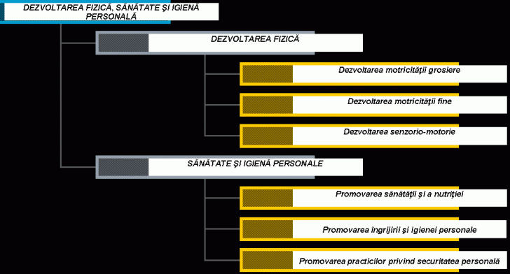 Organization Chart